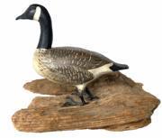 G574 Mid 20th century hand carved miniature goose on a piece of driftwood. Bought out of a collection in Cape Cod, MA. Maker unknown, but it is very well done! All original. Goose measures 3 1/2 long x 3 tall x 1 1/4 wide and it is mounted on a piece of driftwood