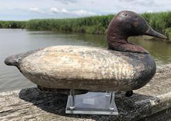 E247 UPPER CHESAPEAKE BAY CARVED AND PAINTED CANVASBACK DRAKE DECOY, solid-body form with original iron keel and possibly original leather line tie, similar to work of John Holly or Joseph Couldon. Thick, old working repaint. Late 19th/early 20th century. 7 1/4" HOA, 13 1/4" LOA.