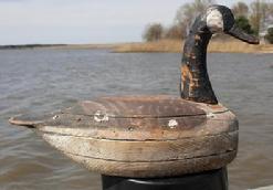 *SOLD* B204 Early Virginia Canadian Goose Decoy, unusual form with a layered body, possible made by Miles Hancock