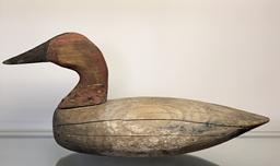 E270 Early Virginia Canvasback Drake Decoy in old working paint, unknown maker,.