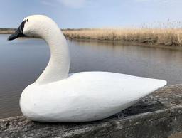 *SOLD* E131 Upper Susquehanna River hand carved Swan by Oscar Moxey 1959