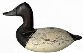 RM1427 Rare High Head Branded Canvasback decoy by William Heverin of Chestertown, Maryland. Circa 1900.   High head drake with A H MC D branded in two places on underside.  This was the brand for A. H. Mc Daniel of North East, Maryland who owned a boat yard. Bird measures 15 ½ long