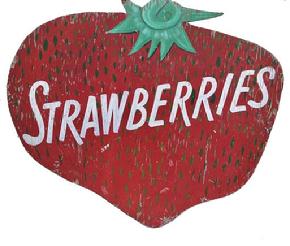 H273 Early 20th century large strawberry shaped roadside trade sign from Hanover Pennsylvania.  advertising STRAWBERRIES. Double sided. The colors of this sign are beautiful with the white lettering painted on a realistic background of red with green seeds and added shading details to the cap leaves at the top. 