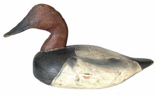 G335 Ellotts brother rare semi high head canvasback Decoy in original paint, branded JMD on bottom, Ellot Bros Easton Md