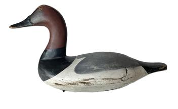 K319 High head Canvasback Drake decoy branded on bottom PARKER in original surface. Decoy also bears a metal tag on bottom that is stamped BUTCH PARKER HOLTWOOD PENNSYLVANIA. Staple, ring and weight intact. Lester Butch Parker (1952-2015) was an avid outdoorsman and decoy carver from Holtwood, Pennsylvania. Approximate measurements: 16 ½ long x 6 wide x 9 tall.  