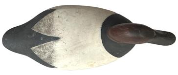 K1537 Canvasback Decoy