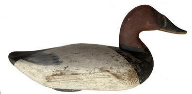 **SOLD** F281 Canvasback Drake decoy, carved by James A. Currier (1886  1971) of Havre De Grace, Maryland. Decoy was carved around 1930s  1940s and retains a large portion of original paint as well as some of the second coat of paint.