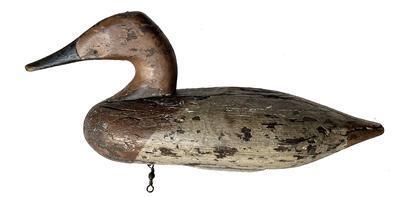 J16 Canvasback Decoy Early upper bay canvasback Hen decoy  Old working second coat of paint with original paint showing thru circa 1920 