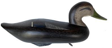 G157 Jim Pierce Black Duck Decoy, Havre de Grace, MD, painted eyes, solid body, mint original paint w/excellent detail, , signed in electro pen on bottom, makers brand JP