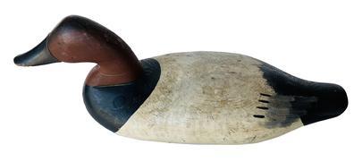 G447 Canvasback Decoy carved by Bob Matthew Havre de grave Decoy made in Madison Mitchell shop 1950's