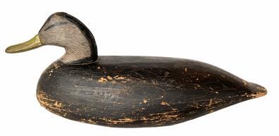 H202 Early Black Duck Decoy carved by Doug Jester of Chincoteague, Virginia. Circa 1920s original scratch feather painting. His speedy carving process provided affordable decoys for local hunters. Balsa, cedar, cottonwood and pine were preferable materials.