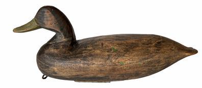 *SOLD* H204 Early Black Duck Decoy carved by Doug Jester of Chincoteague, Virginia. Circa 1920s