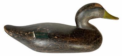 RM1356 Early black duck by R. Madison Mitchell (1901 - 1993) of Havre de Grace, Maryland. Circa 1940s. Working decoy, all original. single-nail weight on bottom circa 1950