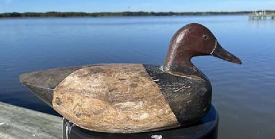  H938 Canvasback drake decoy carved by Captain John Smith (1871-1959), Ocean City, Maryland.