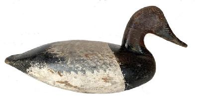 **SOLD** F713 Canvasback Drake Decoy made by Standley Evans (1887-1979). Mr, Evans lived in Elkton, MD,