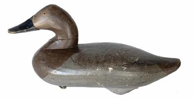 G347 William Boyd 1956 canvasback hen duck decoy