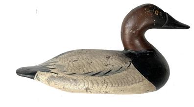  RM1506 Early 1900s Canvasback Drake Decoy carved by Henry Lockard (1868-1944) of Elk Neck, Maryland with raised neck seat and long nostril carving. Decoy bears a repainted surface done by Severin Hall of North East, MD 