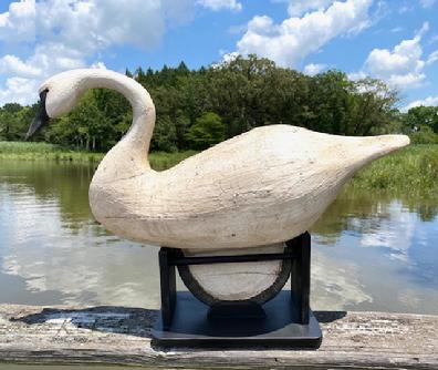 RM1550 Hollow body Swan decoy with wooden keel in a slightly forward "hissing" pose - carved by John Paxton of Eastern Shore, Virginia. Glass eyes and multi layered painted surface. Custom made stand included. Approximate measurements: 33" long x 10 1/2" wide x 23" tall.   