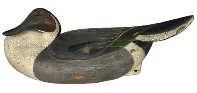 RM1566 - Pintail Drake Decoy in a breast-preening pose carved by William Wild Bill Kennedy of Havre de Grace, Maryland. Signed and dated 2011 on bottom. Original staple and ring remain intact on bottom. Approximate measurements:  ~17 ¼ long x ~7 ½ wide x ~7 tall. 