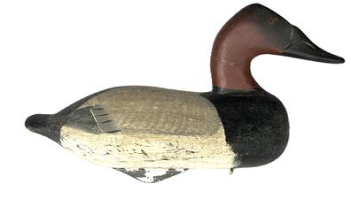 **SOLD** K1629 Canvasback Drake Decoy carved by Henry Lockard (1868-1944) from the Elk Neck area of Cecil County, Maryland - branded "R N C" on bottom (Ronald Coleman Rig). Original staple and weight intact on bottom. 