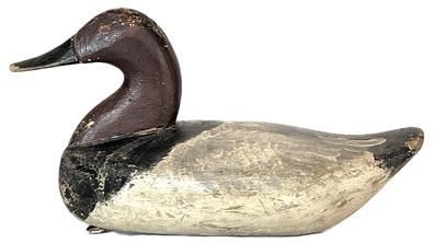 **SOLD** K1746 Branded Canvasback Drake Decoy -carved by August Heinefield (1883-1952) from Rock Hall, Maryland. Branded L on bottom. Decoy bears what appears to be a second coat of old working paint surface and original staple and ring remain intact on bottom. 