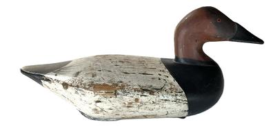 K1760 Branded Canvasback Drake decoy carved by Robert McGaw (1879-1958) of Havre de Grace, Maryland.  Branded O on bottom. Original dog bone weight and leather loop for rigging remain intact on bottom.  Decoy appears to have been cleaned down to original surface. 