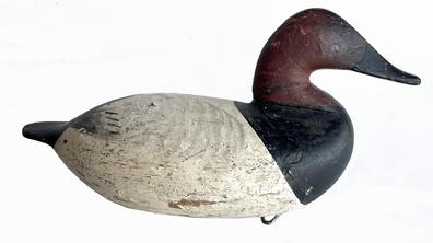 J319  canvasback Drake by Joe Dye