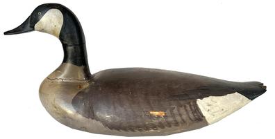 J437 Full sized Upper Bay Canada Goose Decoy in original painted surface. Carver unknown. 