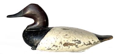 RM1505 Canvasback decoy carved by Scott Jackson (1852-1929) from Charlestown, MD. Original weight, staple and ring intact on bottom. Great surface with second coat of working paint. Circa 1920s.