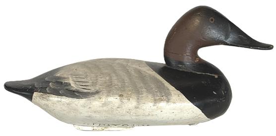 Bayard Decoy