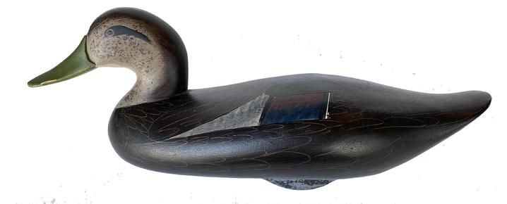 G157 Jim Pierce Black Duck Decoy, Havre de Grace, MD, painted eyes, solid body, mint original paint w/excellent detail, , signed in electro pen on bottom, makers brand JP