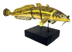 M1132C Hand carved wooden fish decoy, believed to be a representation of a Burbot fish, with yellow and black hand painted surface and stationery tin fins. Intricately carved single barbel on chin is characteristic of the Burbot � which is also known as the Freshwater Cod. 