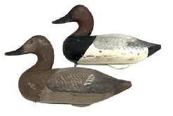 M214 Pair of Canvasback Duck Decoys carved by Captain Jess Urie (1901-1978), Rock Hall, Maryland with original surfaces. Both decoys retain their original weights, staples and rings.  Jess Urie made his living by fishing and running charters. He was a perfectionist and all of his birds had extensive feathering and wing painting. 