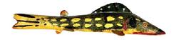 M16B Hand carved Folk Art Pike shaped / painted Fish Decoy from Michigan featuring original green, yellow and red painted surface and carved details for mouth and gills. Wooden body with stationery tin fins featuring painted details on all tin to match the body paint. Painted eyes. Solid wood body with a metal weight embedded into the underbelly. Carver identified as Buriss. Approximate measurements: ~6 &frac12;� long x ~1 &frac34;� wide x ~1 &frac14;� tall. 