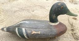H294 Nice Massachusetts Mallard decoy in original paint with two brands �PEASE� and �?UMBLE� Deep carved wings and tail feathers. Circa 1900