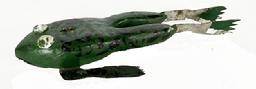 M16K Hand carved and painted Frog shaped Fish Decoy with large painted tack eyes and metal legs / feet. The carver of this whimsical fish decoy is identified as Raymond �Ray� Veihl of Michigan. Solid wooden body with stationery metal fins featuring painted details to match the body paint and a metal weight embedded into the underbelly. Approximate measurements: ~5 &frac14;� long x 2 &frac14;� wide x ~5/8� thick. 
