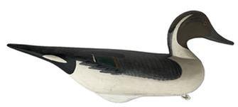 K105 Oldsqaw /Pintail Drake Duck Decoy carved by R. Madison Mitchell � Signature and date inscribed on bottom: �R Madison Mitchell 1967�. Decoy bears its original painted surface with the original staple, ring and weight intact on bottom.  Robert Madison Mitchell was born in 1901 in Oakington, Maryland, near Harford County�s Swan Creek, just south of Havre de Grace, and he grew up in this waterman�s community at the top of the bay. Mitchell died on January 14, 1993 at the age of 91. Approximate measurements: 18 &frac12;� long x 5 &frac12;� wide x 8� tall  