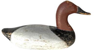 F594 The distinctive carving of the head and Roman Nose bill make this high head decoy stand out from most Upper Bay decoys. Early second coat of working paint with gunning wear down to woo