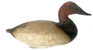 **SOLD** H280 Canvasback Drake decoy attributed to Taylor Boyd. Early working re-painted surface. Original iron keel weight, staple and ring intact on bottom. 