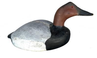 K28 Canvasback Decoy by John T. �Baby John� Evans Jr. of Crisfield, MD (1923-1994). Age crack in top of the back as seen in photos. Approximate decoy measurements: 15 &frac34;� long x 8� wide x 7 &frac12;� tall.  NOTE: Evans was a World War II Veteran, and a retiree of the Maryland National Guard after 27 years of service. He was also a (retired) carpenter and wood carver. 