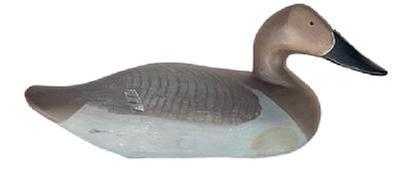 L413 Canvasback Hen decoy carved by Madison Mitchell (1901-1993) from Havre de Grace, Maryland. Electric pencil signature on bottom - "R. Madison Mitchell � Havre de Grace, Md - 1971� Decoy has a slightly turned head, retains its original weight, staple and ring on bottom and bears its original painted surface with dry surface - never oiled or waxed. 