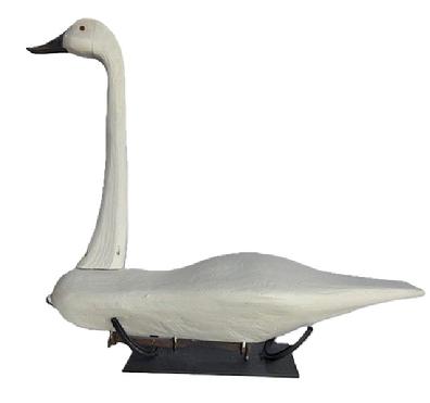 M72 Folk Art Swan Decoy with tack eyes and two railroad spikes as weights on bottom.  Hand carved, solid wood. Custom made stand for display purposes is made from iron horseshoes. Carver unknown. Approximate measurements: ~31� long x ~9� wide x ~27 &frac12;� tall. The bottom of the base measures 14� long x 6� wide.  